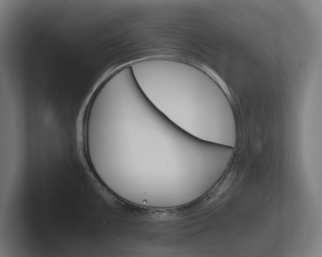 X0000102381099200808010909