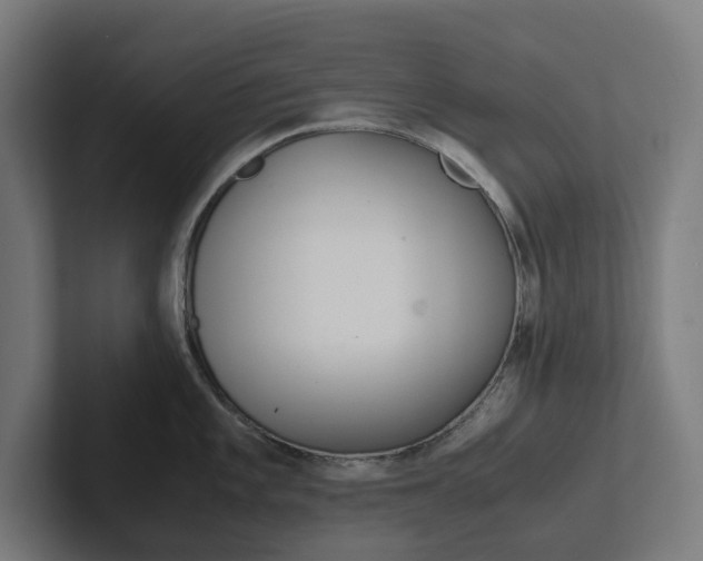 X0000102381101200808010909