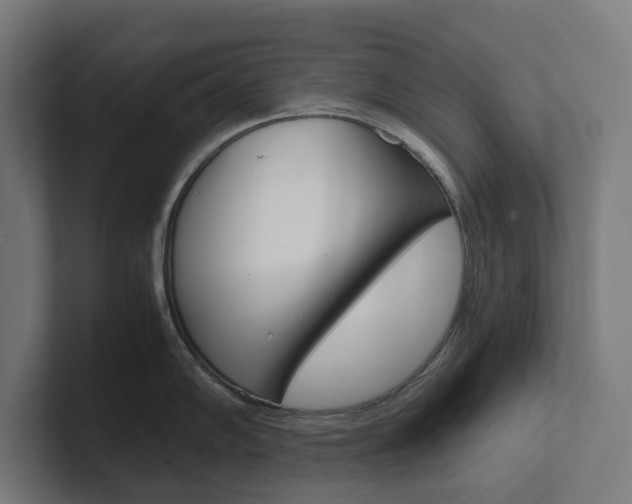 X0000102381102200808010909