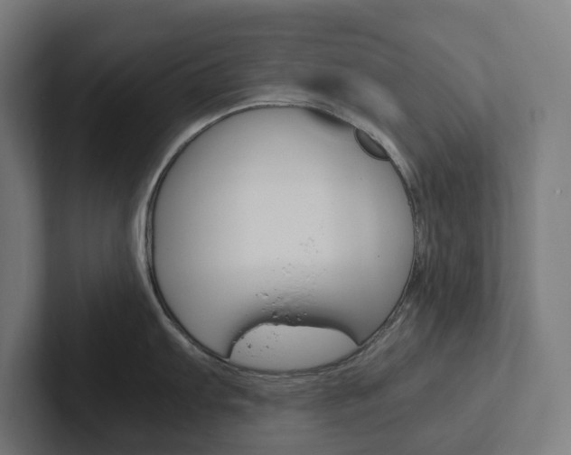X0000102381103200808010909