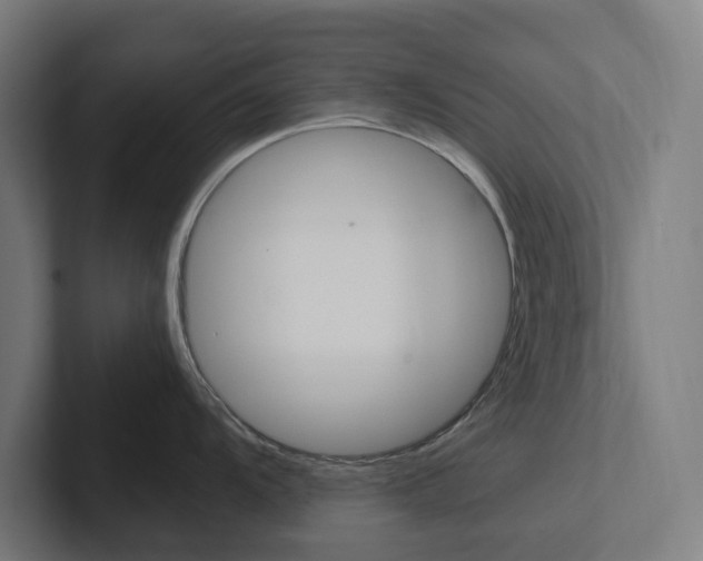 X0000102381104200808010909