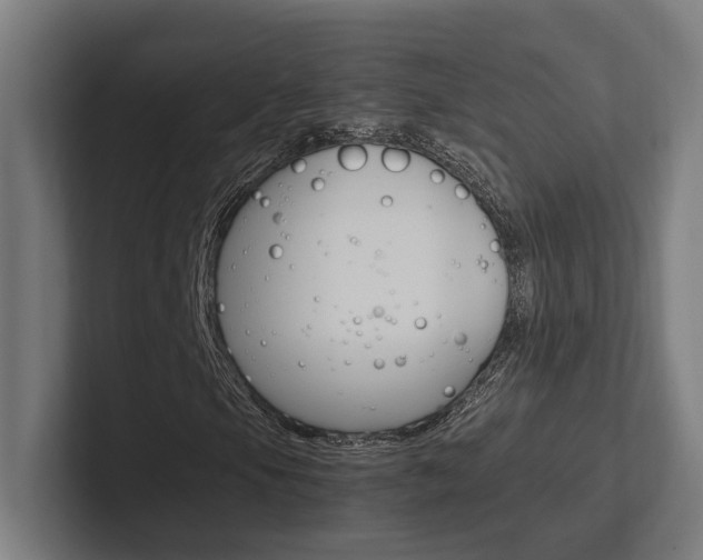 X0000102381105200808010908