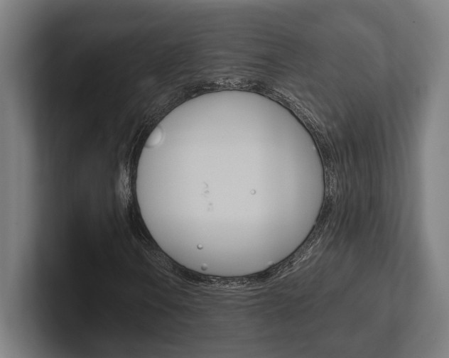 X0000102381106200808010909