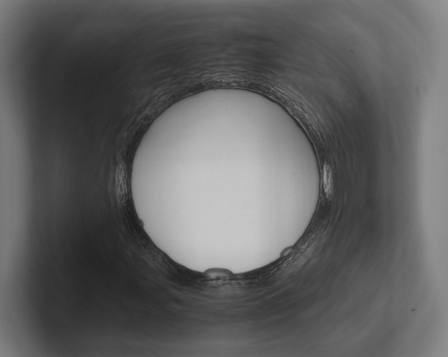 X0000102381107200808010909