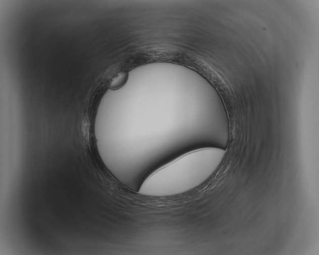 X0000102381108200808010909