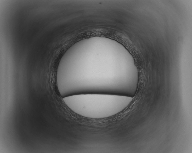 X0000102381109200808010909