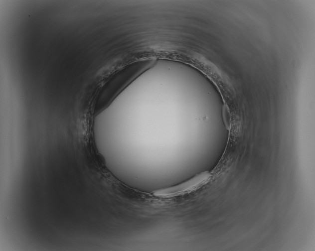 X0000102381110200808010909