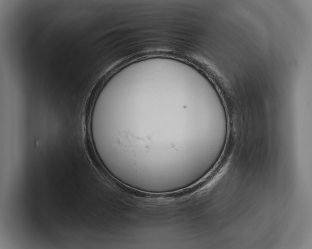 X0000102381113200808010909