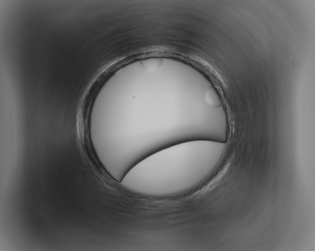 X0000102381117200808010909