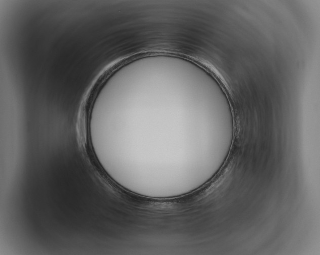 X0000102381123200808010909