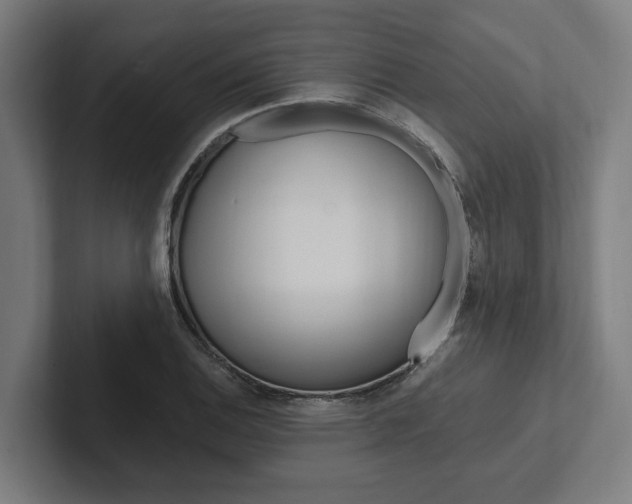 X0000102381124200808010909