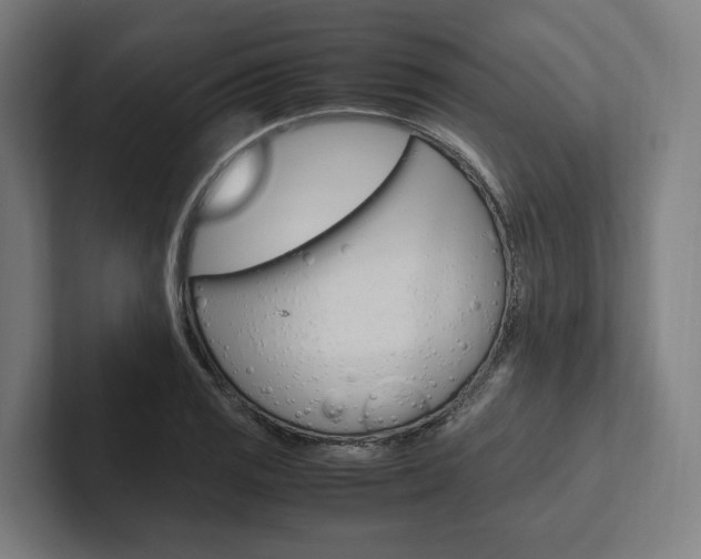 X0000102381125200808010909
