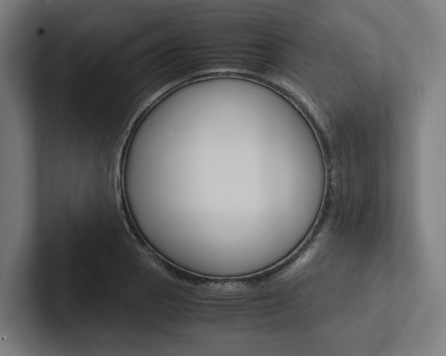 X0000102381129200808010909