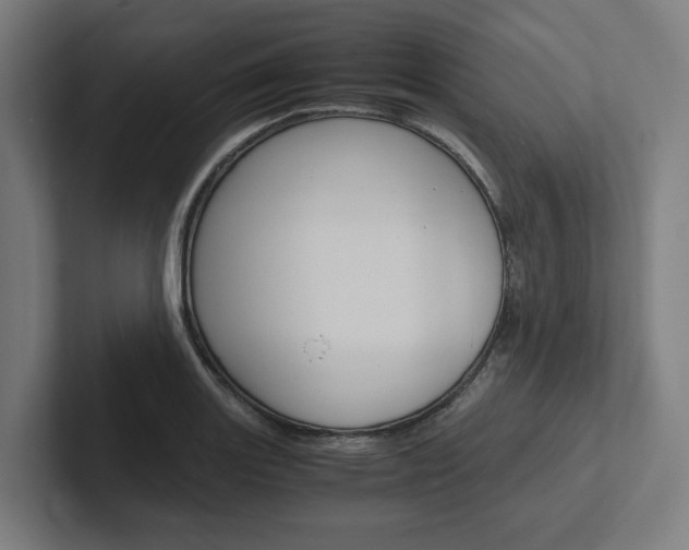 X0000102381131200808010909