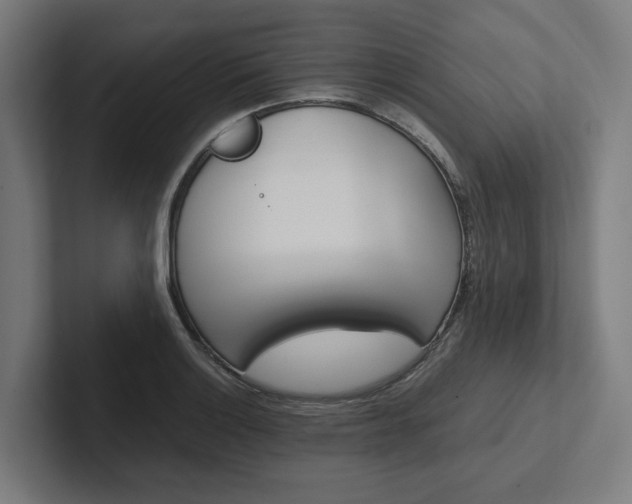 X0000102381132200808010909