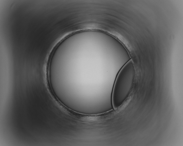 X0000102381134200808010909