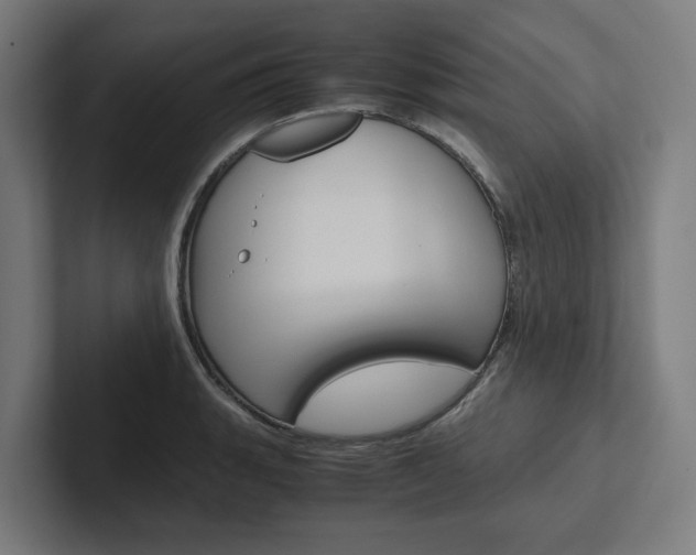 X0000102381135200808010909