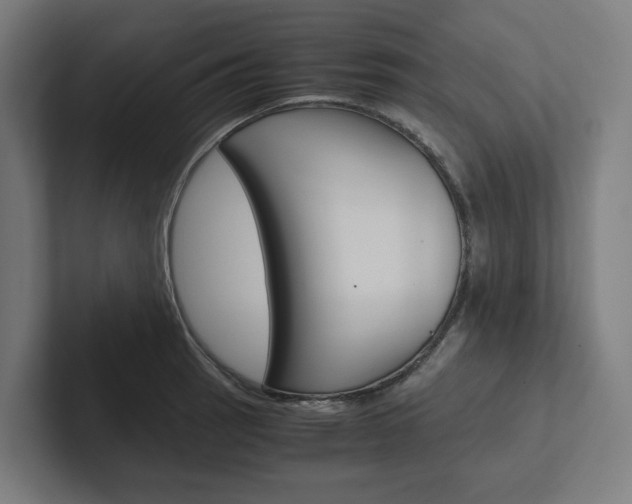 X0000102381137200808010909