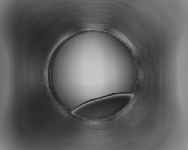 X0000102381138200808010909