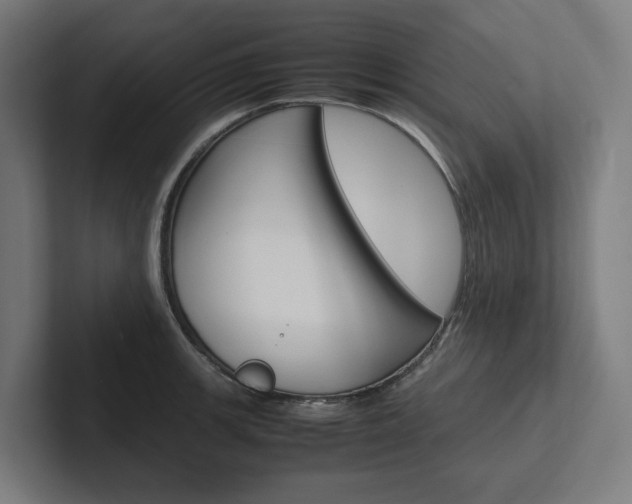 X0000102381139200808010909