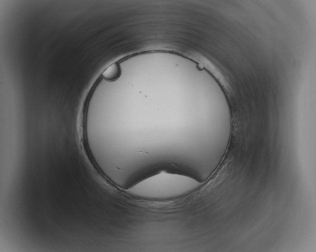 X0000102381140200808010909