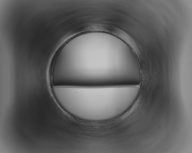X0000102381141200808010909