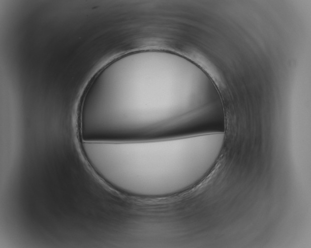 X0000102381142200808010909