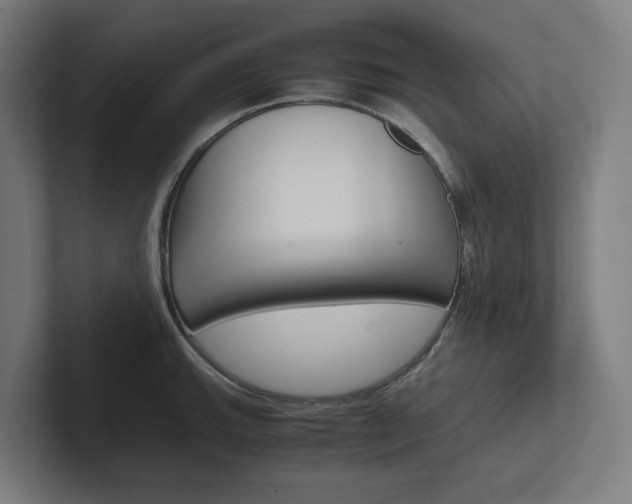 X0000102381143200808010909