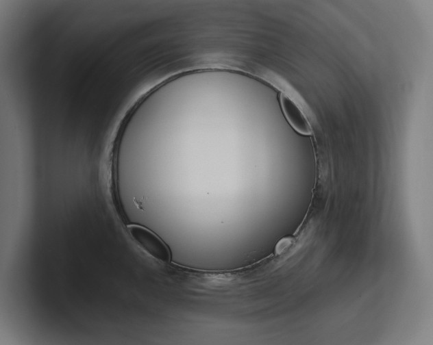 X0000102381144200808010909