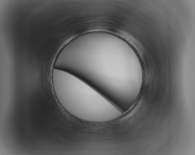 X0000102381145200808010909