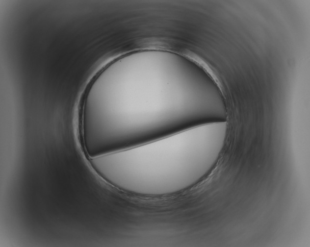 X0000102381147200808010909