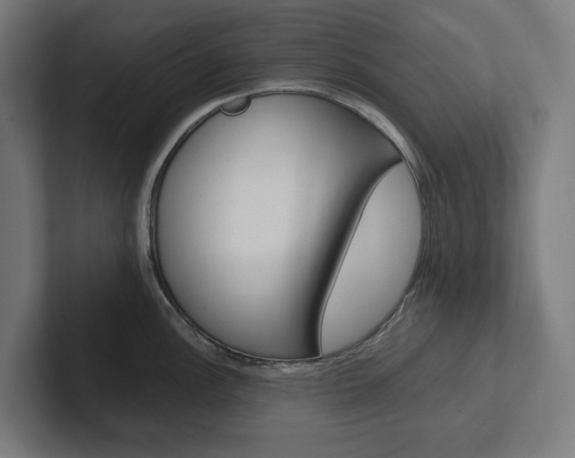 X0000102381148200808010909