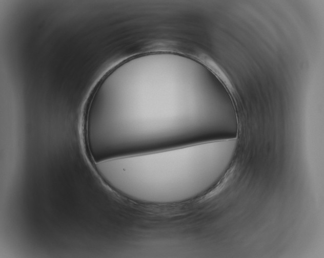 X0000102381149200808010909