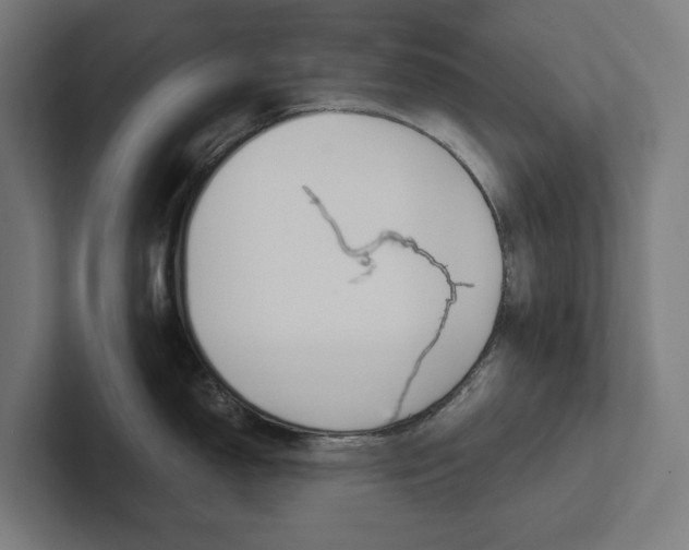 X0000102381150200808010909