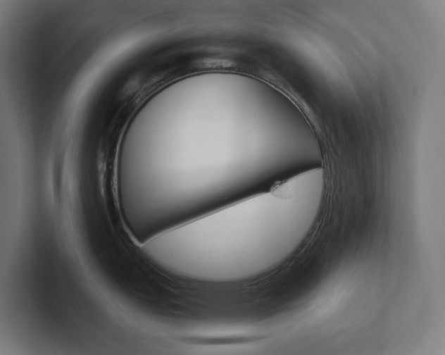 X0000102381151200808010909