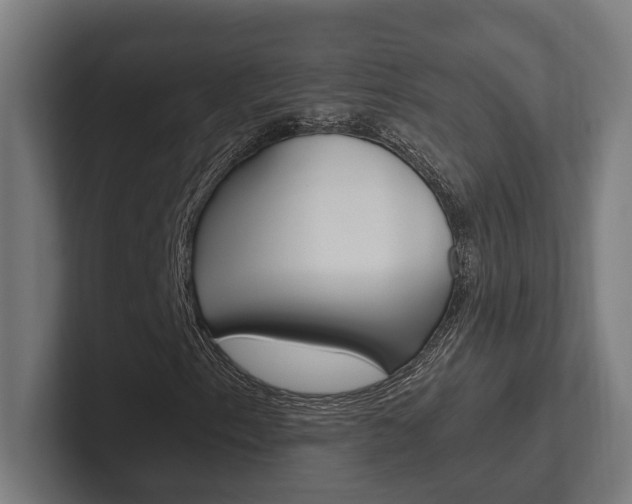 X0000102381153200808010908