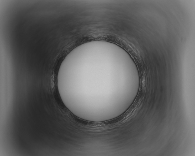 X0000102381156200808010908