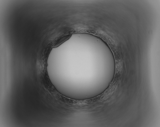 X0000102381157200808010908