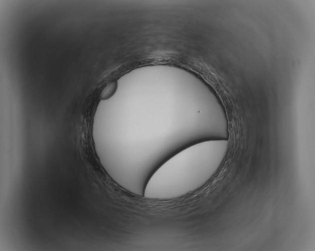 X0000102381158200808010908