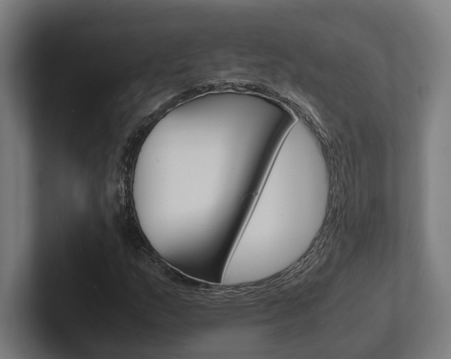 X0000102381159200808010908