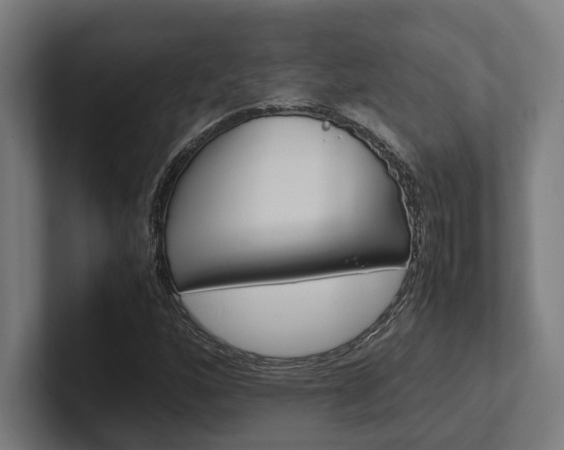 X0000102381160200808010908