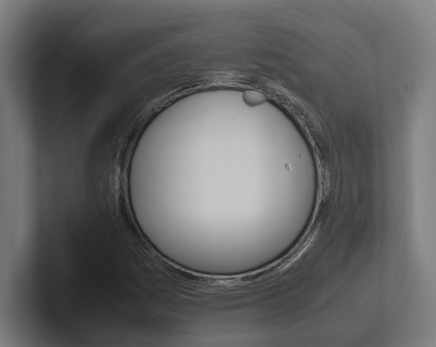 X0000102381161200808010908