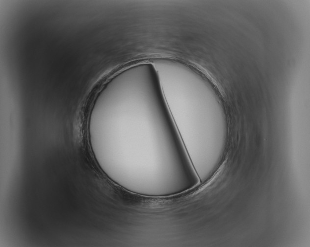 X0000102381163200808010908