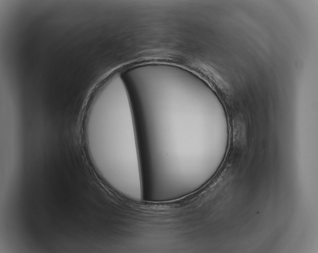 X0000102381164200808010908