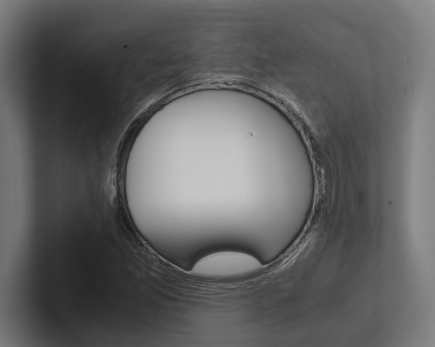 X0000102381165200808010908