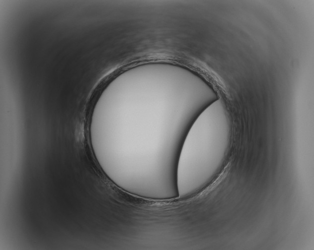 X0000102381166200808010908