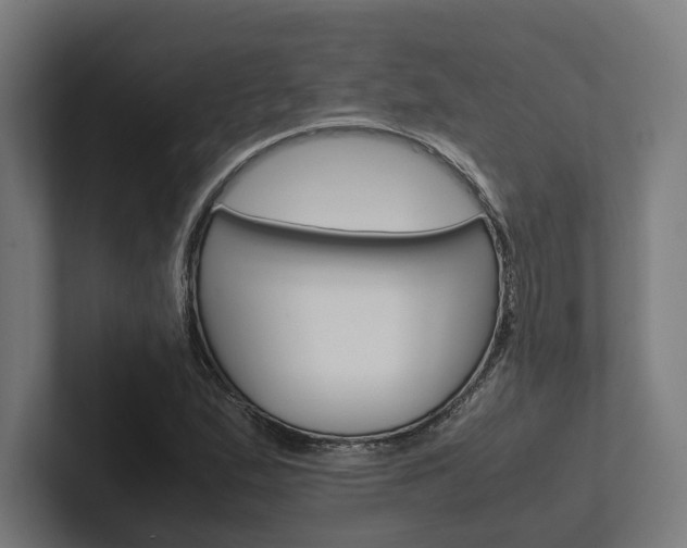 X0000102381167200808010908