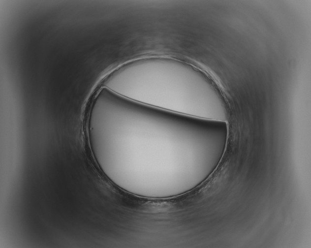 X0000102381168200808010908