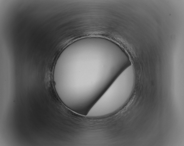 X0000102381169200808010908