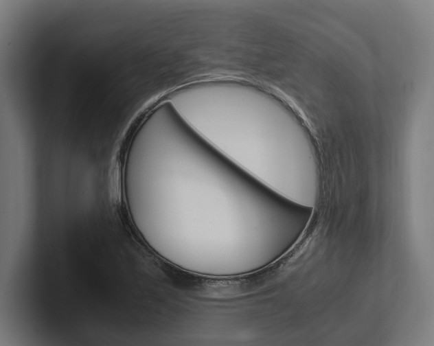 X0000102381171200808010908